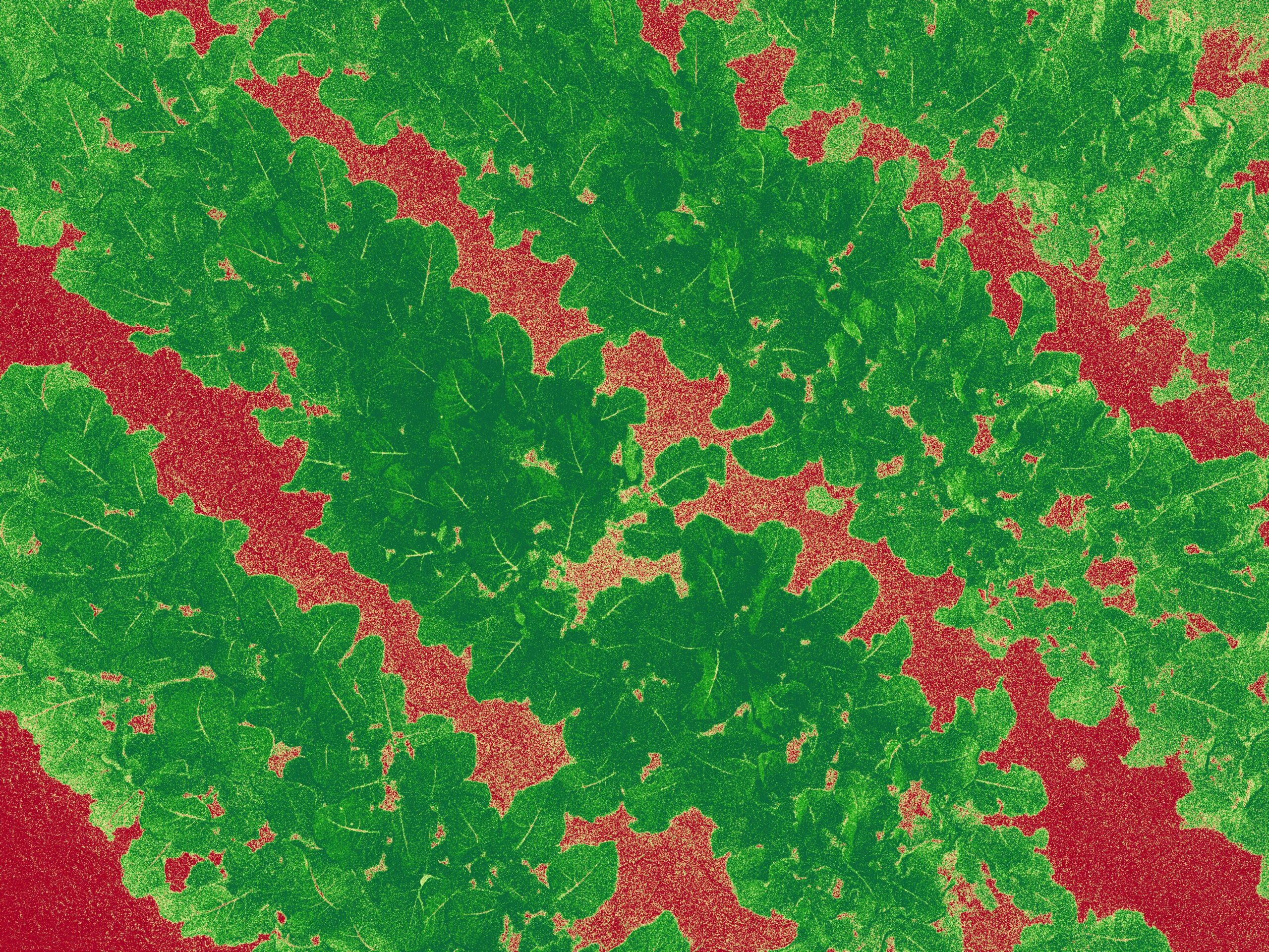 2024_0120_164404_517_NDVI_LUT