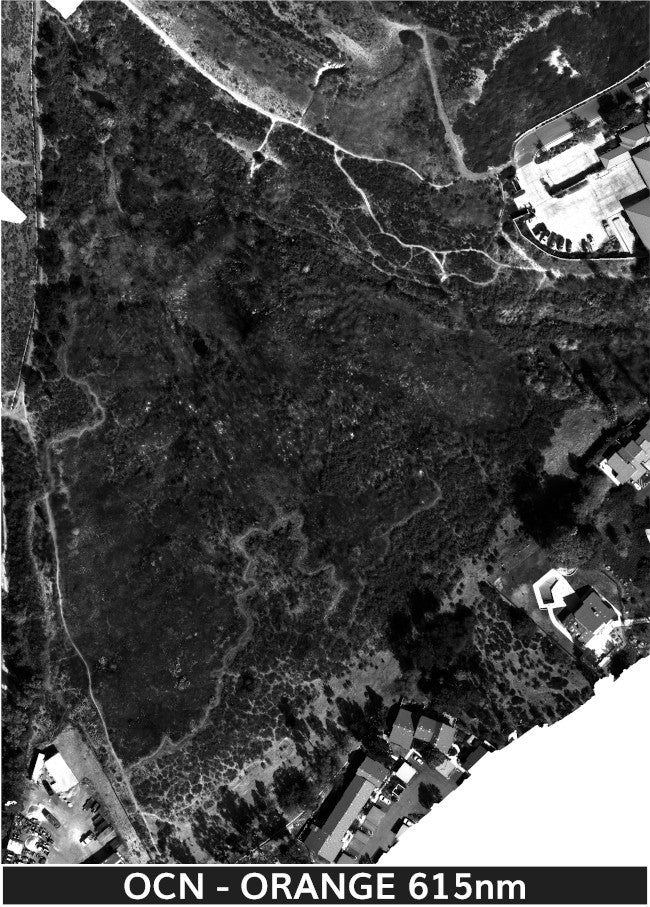 TW-Fire_1-22-2025_2_transparent_mosaic_ocn_web-orange