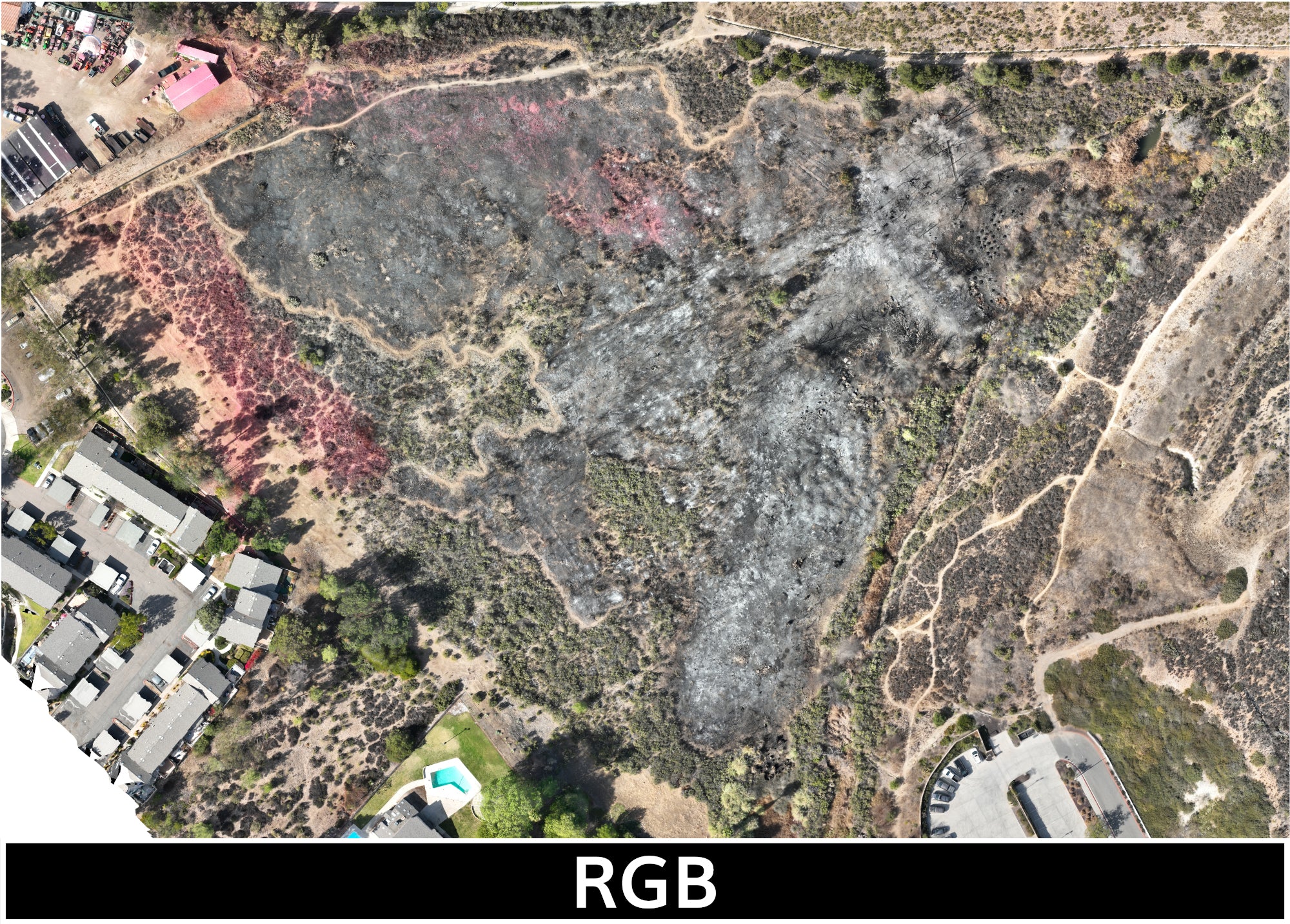 TW-Fire_1-22-2025_2_transparent_mosaic_rgb_lrg