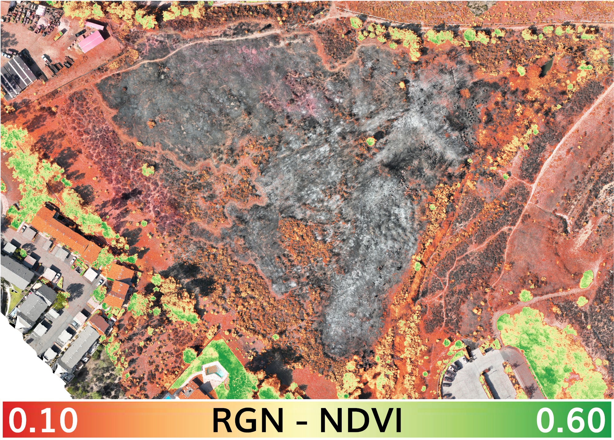 TW-Fire_1-22-2025_2_transparent_mosaic_rgn_ndvi_lut_01--06_rgb_lbl_web_lrg