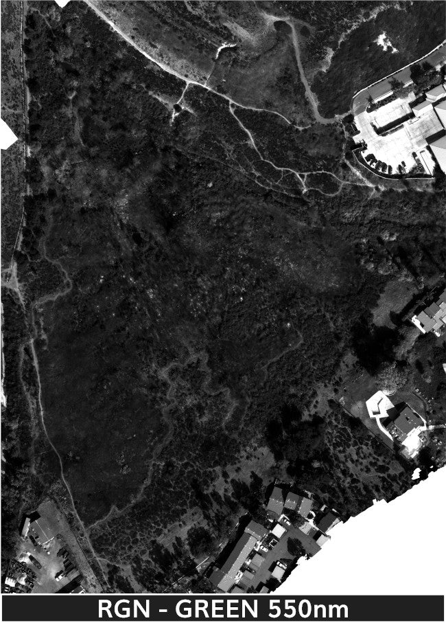 TW-Fire_1-22-2025_2_transparent_mosaic_rgn_web-green