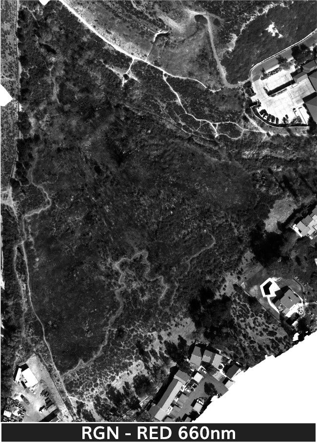 TW-Fire_1-22-2025_2_transparent_mosaic_rgn_web-red