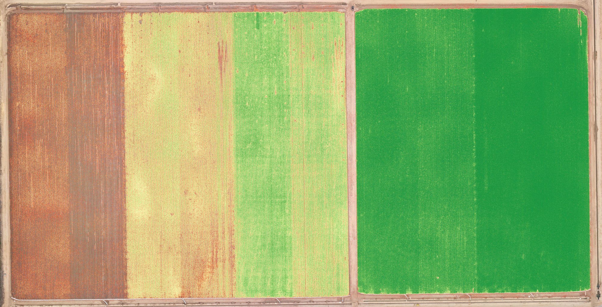 broccoli_rgb-ocn-035-085_crop