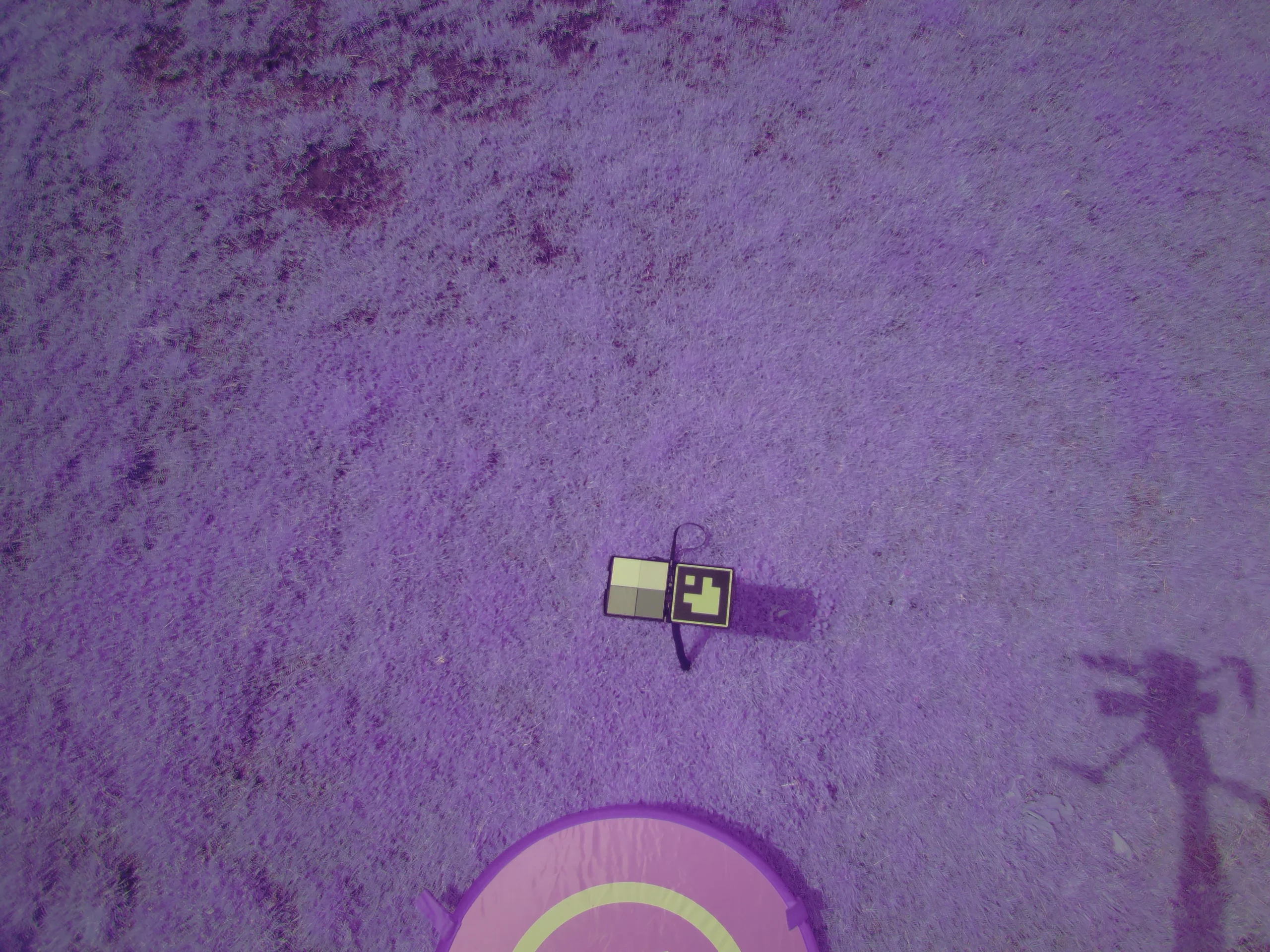 2023_0331_183720_006